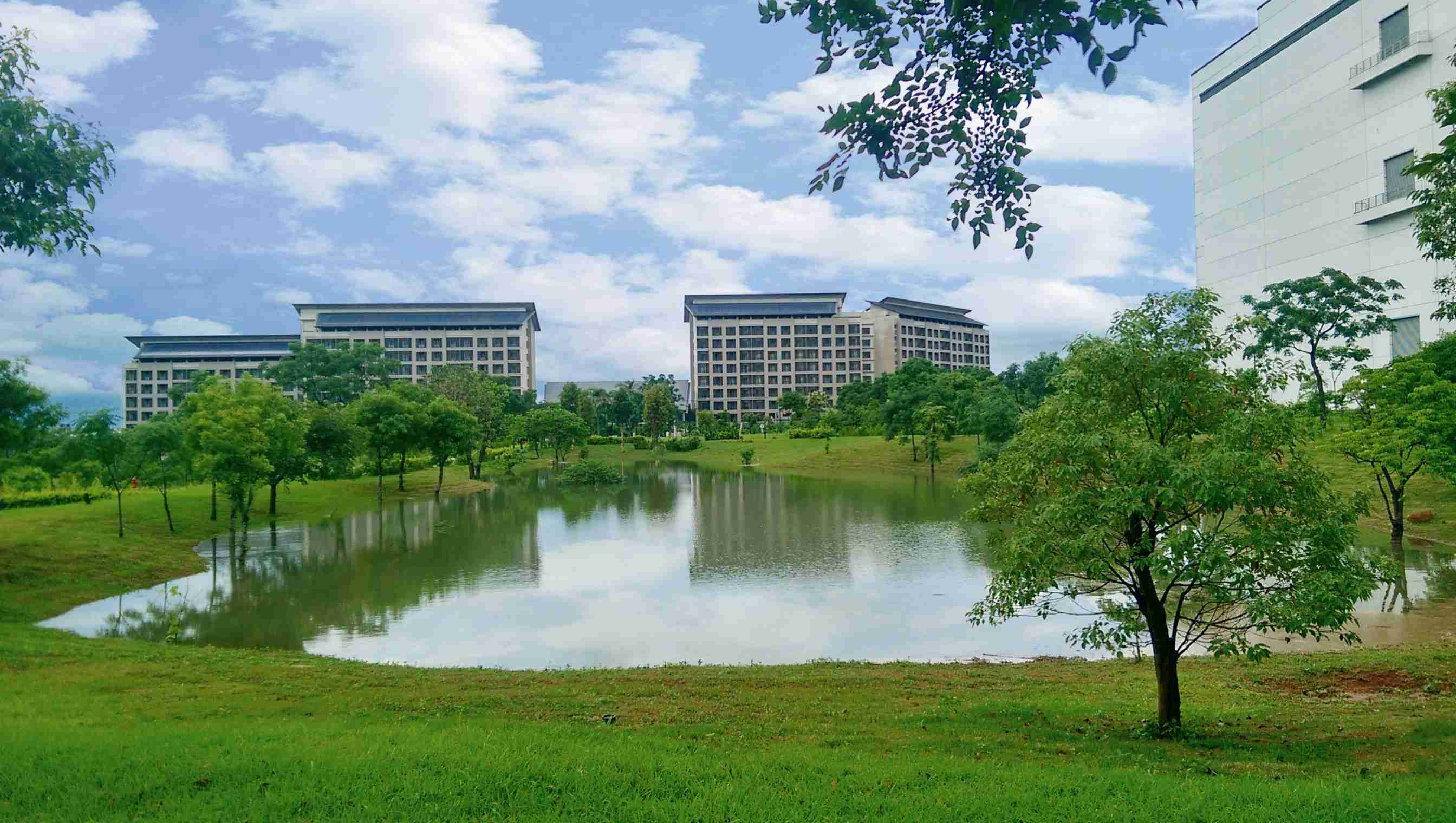至成国际响应国际倡议生物多样性趋势，，首次发布TNFD自然相关财务揭露报告书，，，，擘划及开展至成国际生物多样性政策之承诺，，，，逐步迈向与自然和谐共生